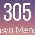 Shawn Mendes 305 Lyrics