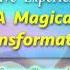 I Have Experienced A Magical Transformation Super Charged Affirmations