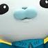 Earth Animal Song Facts For Kids Octo Report Recap Roundup Octonauts Above Beyond