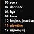 Patrycja Kosiarkiewicz 11 Nieważne Audio