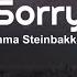 Emma Steinbakken Sorry Lyrics