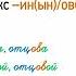 Склонение притяжательных прилагательных 6 класс видеоурок презентация