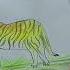 Majestic Wild Tiger A Stunning Art Studio Creation