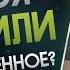 Ниндзя Осудили На Пожизненное Статьи Заключённых В Криптариуме Legacy SVD УК РФ