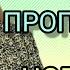 ШЛЕЙФОВЫЕ ШИКАРНЫЕ НОВЫЕ АРОМАТЫ ПАРФЮМЕРНЫЕ НОВИНКИ ПОЛНЫЙ ВОСТОРГ ОБЗОР ПАРФЮМОВ