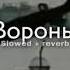 Xcho Вороны Slowed Reverb