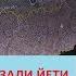 Поймали снежного человека в Саратовской обл Съёмка Вадима Басова