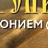 Толкование Евангелия с митр Антонием Паканичем Воскресенье 29 сентября 2024 года