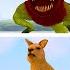 NEW INFECTED ZOOCHOSIS MUTANTS ANIMALS In Garry S Mod