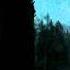 Woods Of Desolation The Inevitable End