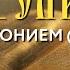 Толкование Евангелия с митрополитом Антонием Паканичем Суббота 28 сентября 2024 года