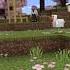 обзор на эффект Minecraft весна