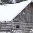 Cold Winter Night In An Abandoned Hunters Log Cabin