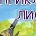 Сказки на ночь Приключения лисенка Аудиосказки о животных