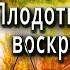 Аудиокниги ЛУЧШИЕ Детективы АГАТА КРИСТИ Плодотворное ВОСКРЕСЕНЬЕ Аудио рассказы слушать онлайн