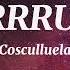 PRRRUM Cosculluela Tiktok Song English Lyrics