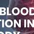 Blood Circulation Frequency Rife Frequency For Better Blood Flow