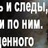 Увидев в тайге струнную надпись на снегу и следы егерь следовал по ним А вскоре увидел такое