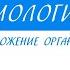 10 класс Биология Половое размножение организмов Мейоз