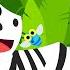 Zebra Canções De Animais Pinkfong Canções Para Crianças