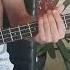 Lana Del Rey Born To Die Bass Cover With TABS On Screen