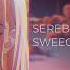 SEREBRO Я Тебя Не Отдам SWEEQTY Hardstyle Edit Sped Up