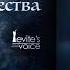 Светятся украшенные ели ORIGINAL STUDIO VERSION Levite S Voice