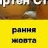 Озима цибуля Топ 3 найпопулярніших сортів