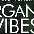 ORGANIC VIBES L Finest Organic Deep House Music Dj Mix By Marga Sol