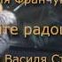 Даруйте радощі мої Василь Стус Неля Франчук Виступ на Майдані