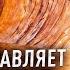 ПРОСВЕТЛЕНИЕ ПРОБУЖДЕНИЕ Посмотри ЭТО и твоя ЖИЗНЬ изменится Дима Елистратов