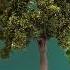 We Don T Know What S Happening With Forests