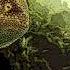 Hip Hop Reggae 2019 Rap Chillest Reggae Mix 1 Reggae Rap Hip Hop