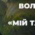 Волонтерський проєкт Мій тато герой Сильні разом