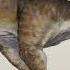 Jurassic Park Tyrannosaurus Rex Rexy Roberta Sound Effects