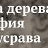 Лекция Метафора дерева и философия Насира Хусрава Татьяна Корнеева