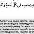 Салават ан нарият красивое чтение слушать и повторять часто