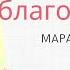 Марафон СИЛА БЛАГОДАРНОСТИ 1 ДЕНЬ Ольга Кисурина