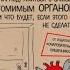 Йоханнес Хинрих фон Борстель Тук тук сердце Как подружиться с самым неутомимым органом и что