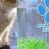 Ультразвуковой отпугиватель насекомых и грызунов Защитник Pestshield Teledirekt Ru