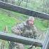 Раскидки от Монеси Продолжаются страйкбол Airsoftcqb Shorts Airsoftgun мем Military Airsoft