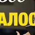 КАК ВСЁ НАЧИНАЛОСЬ Моя история Пастор Андрей Шаповалов