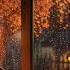 Rainy Autumn Night Relax With Rain Outside Rain On Window And Breeze Sounds