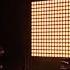 Monatik Vitamin D Live