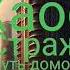 Аудиокнига Хаос Страж Книга 1 Путь домой Sarv