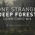 Lone Stranger Deep Forest Downtempo Mix