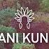 Ani Kuni Dreamers Inc Remix