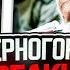 Черногорец Reacts To Атака мертвецов Осовец Короткометражный фильм