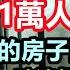 摩羯 異變成18級 風力達到234km H 海南椰子樹林成片吹走 房子在搖晃 全省紅色警戒 物價暴漲 居民連夜屯物資 拜神用的蠟燭都賣光 外地人把整個市場都買回家 18級颱風摩羯 廣東 海南