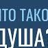 Душа О Душе по душам Что такое душа Александр Хакимов и Никита Греков